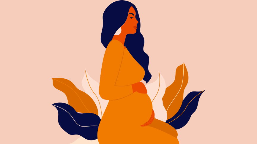 pregnant immune system