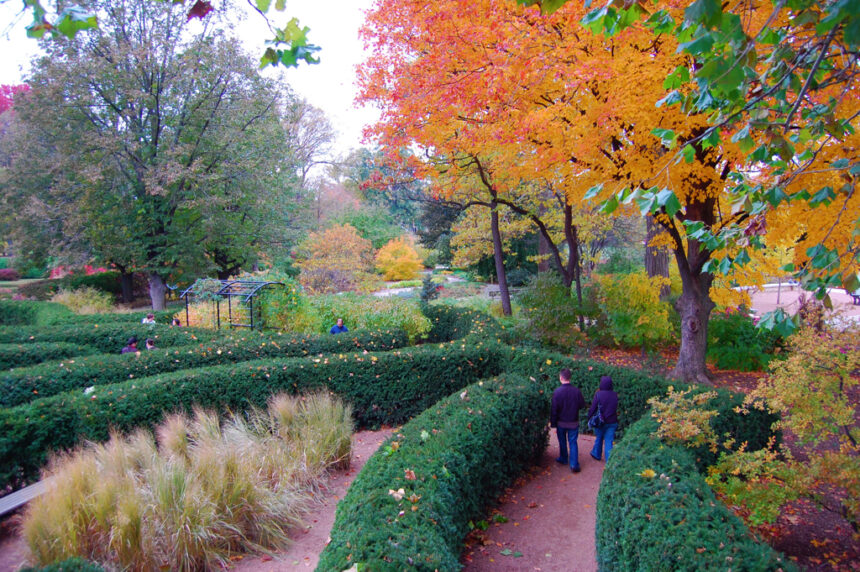 12 Outdoor Micro Adventures For February That Take Less Than An Hour