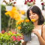 National Dengue Day 2025: 9 plants that repel mosquitoes