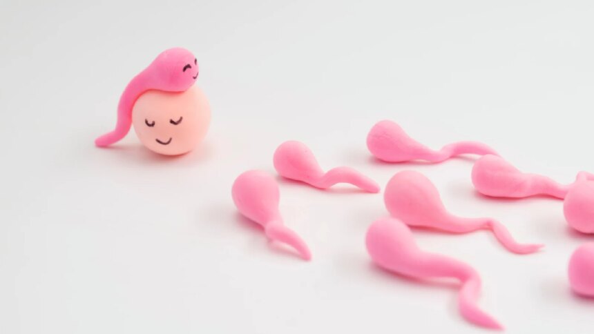 7 sex myths busted by a fertility specialist; says ‘outdated beliefs can delay pregnancy’