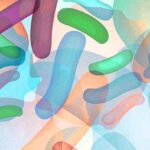 Who Should Take Probiotics: 5 Potential Benefits