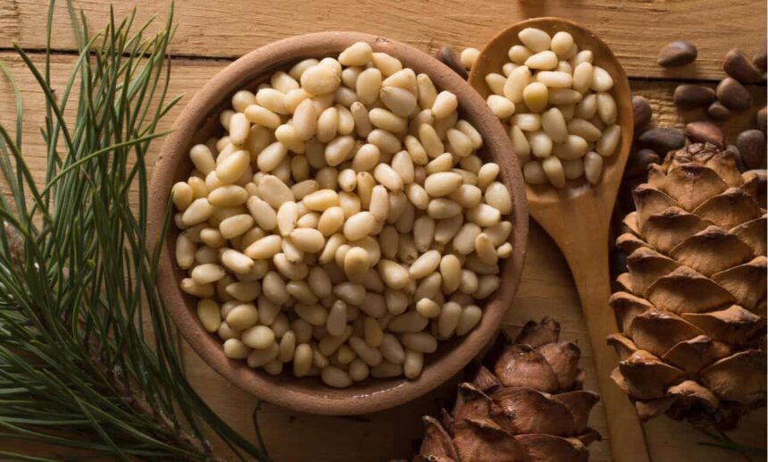Pine Nuts: Benefits, Nutrition, and Everything You Want to Know
